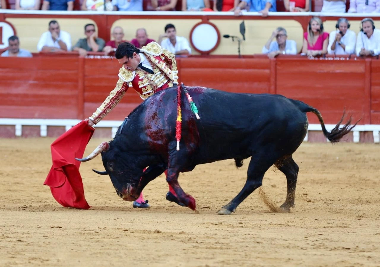 Imagen 14