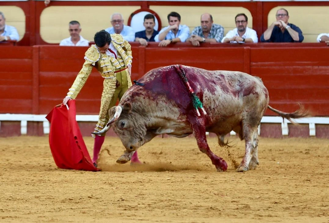 Imagen 16