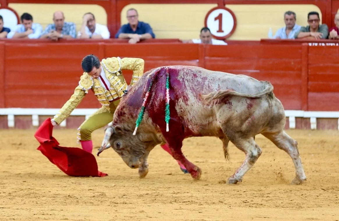Imagen 17