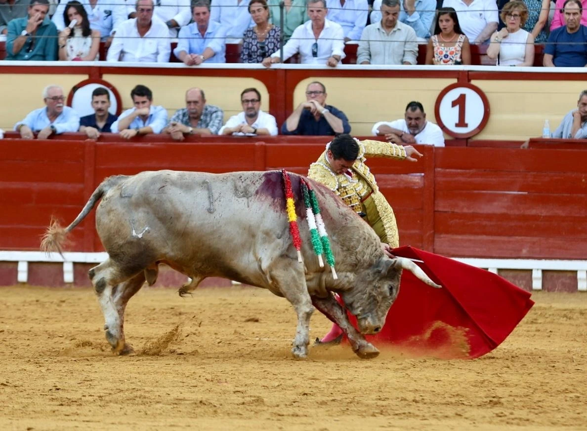 Imagen 18