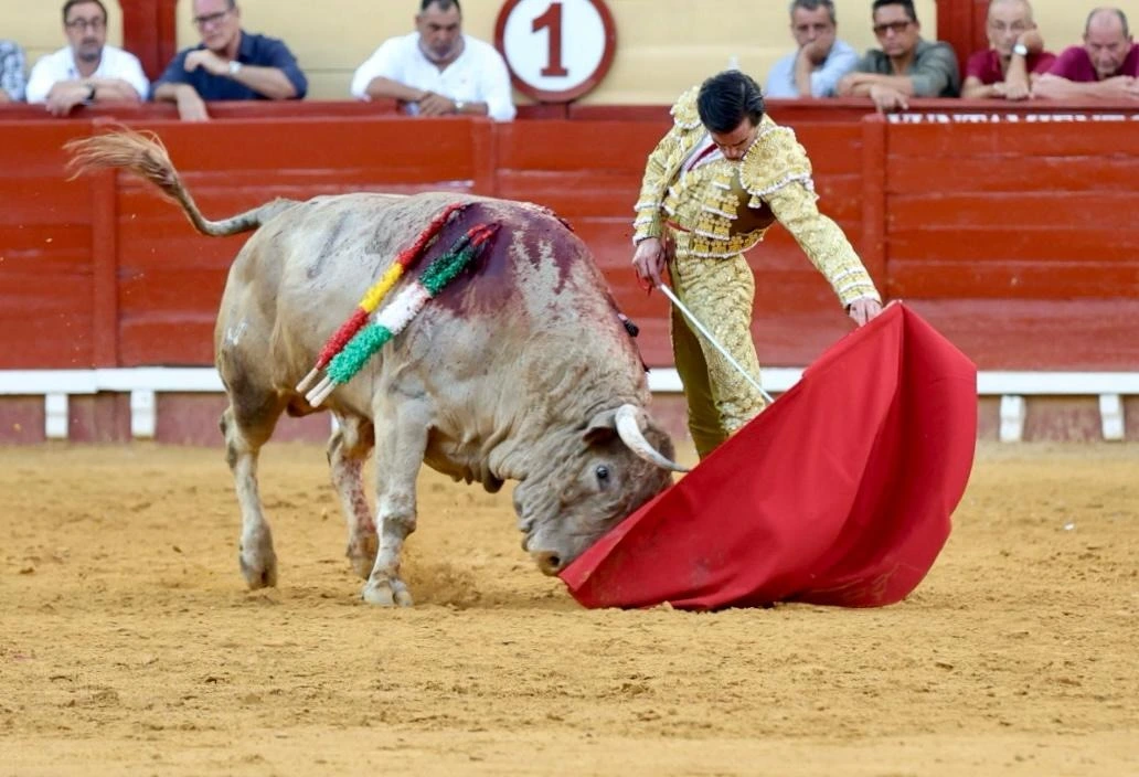 Imagen 19
