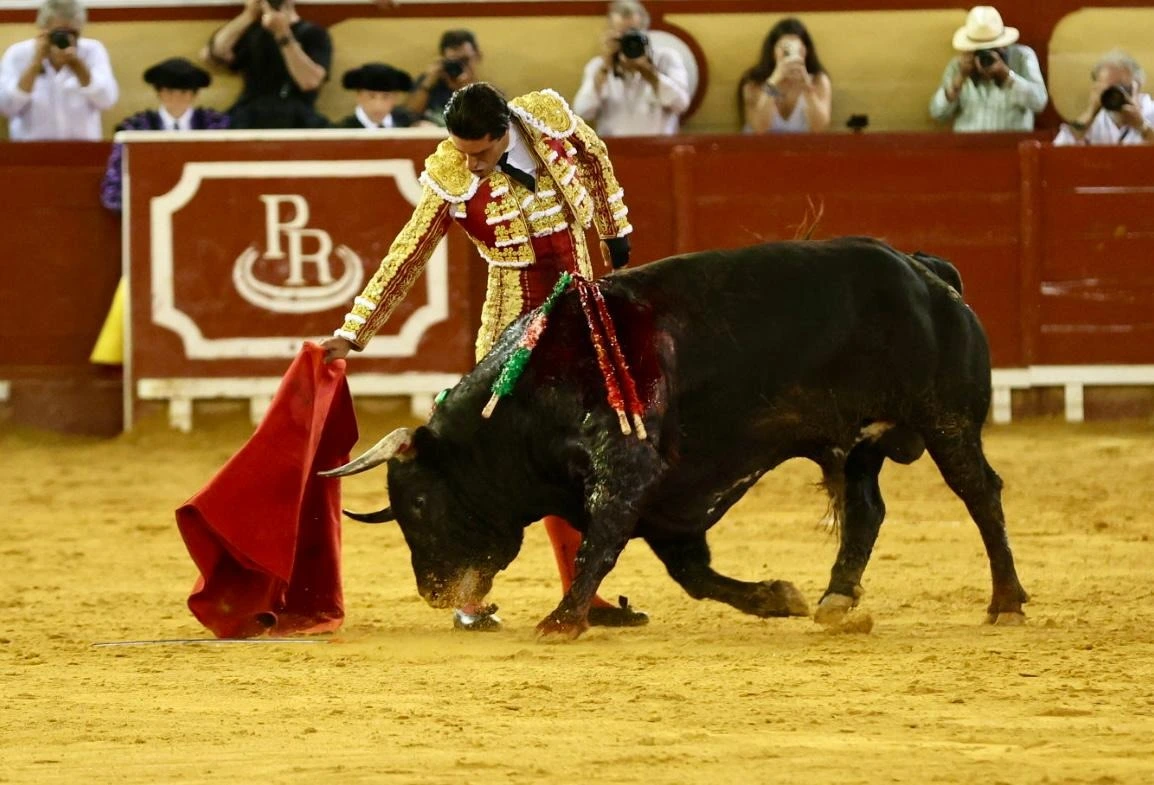 Imagen 21