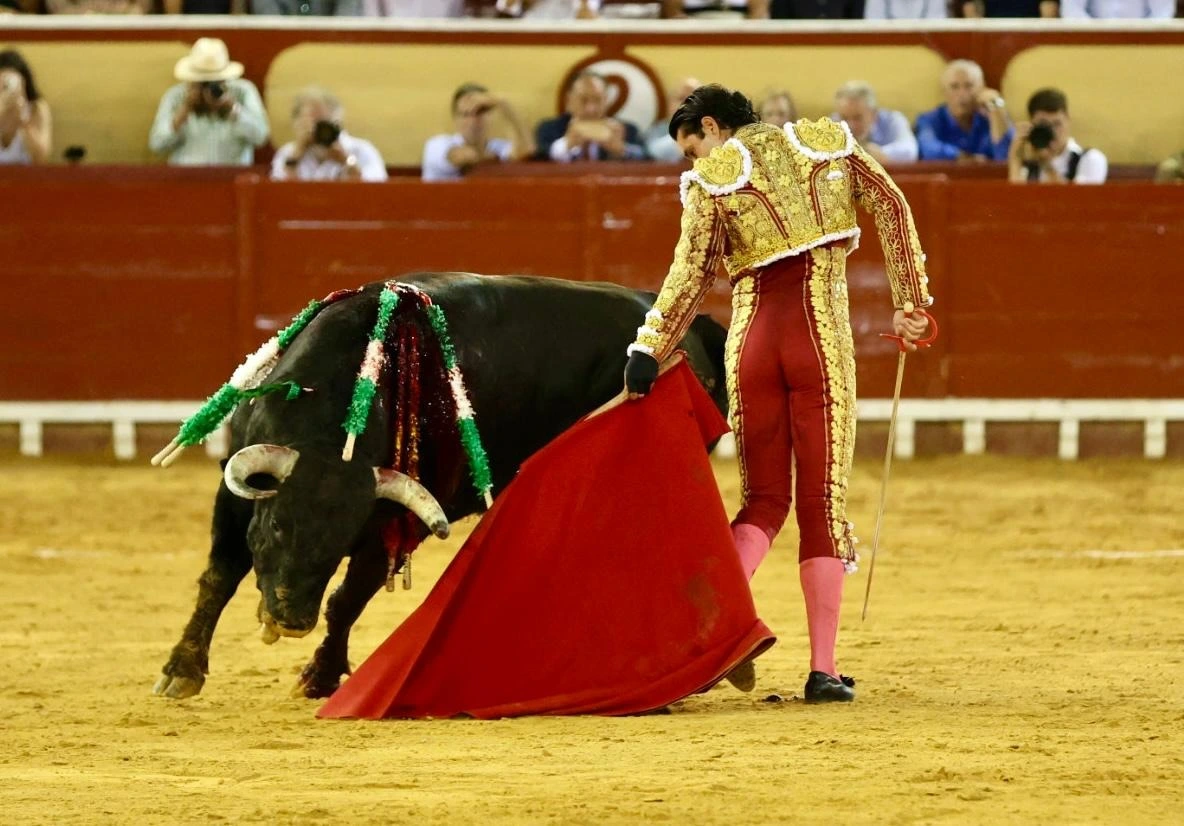 Imagen 22