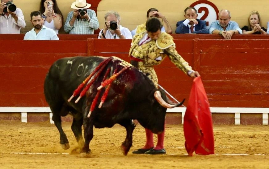 Imagen 26