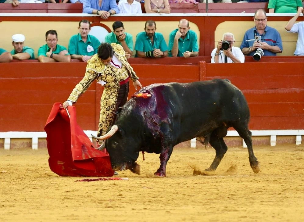 Imagen 28