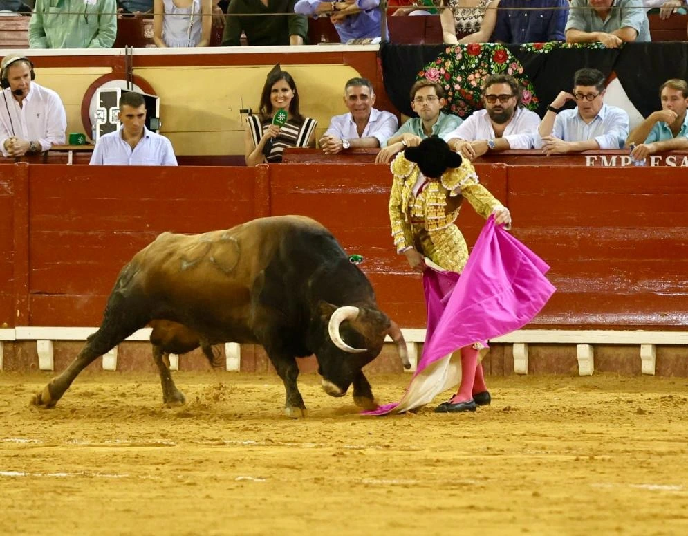 Imagen 31