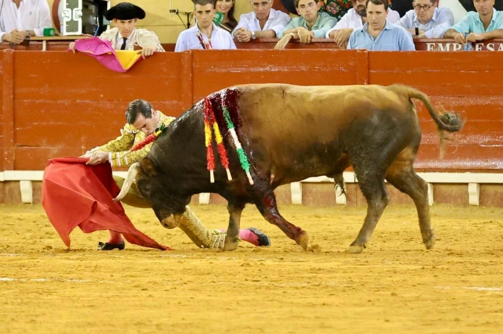 Imagen 32