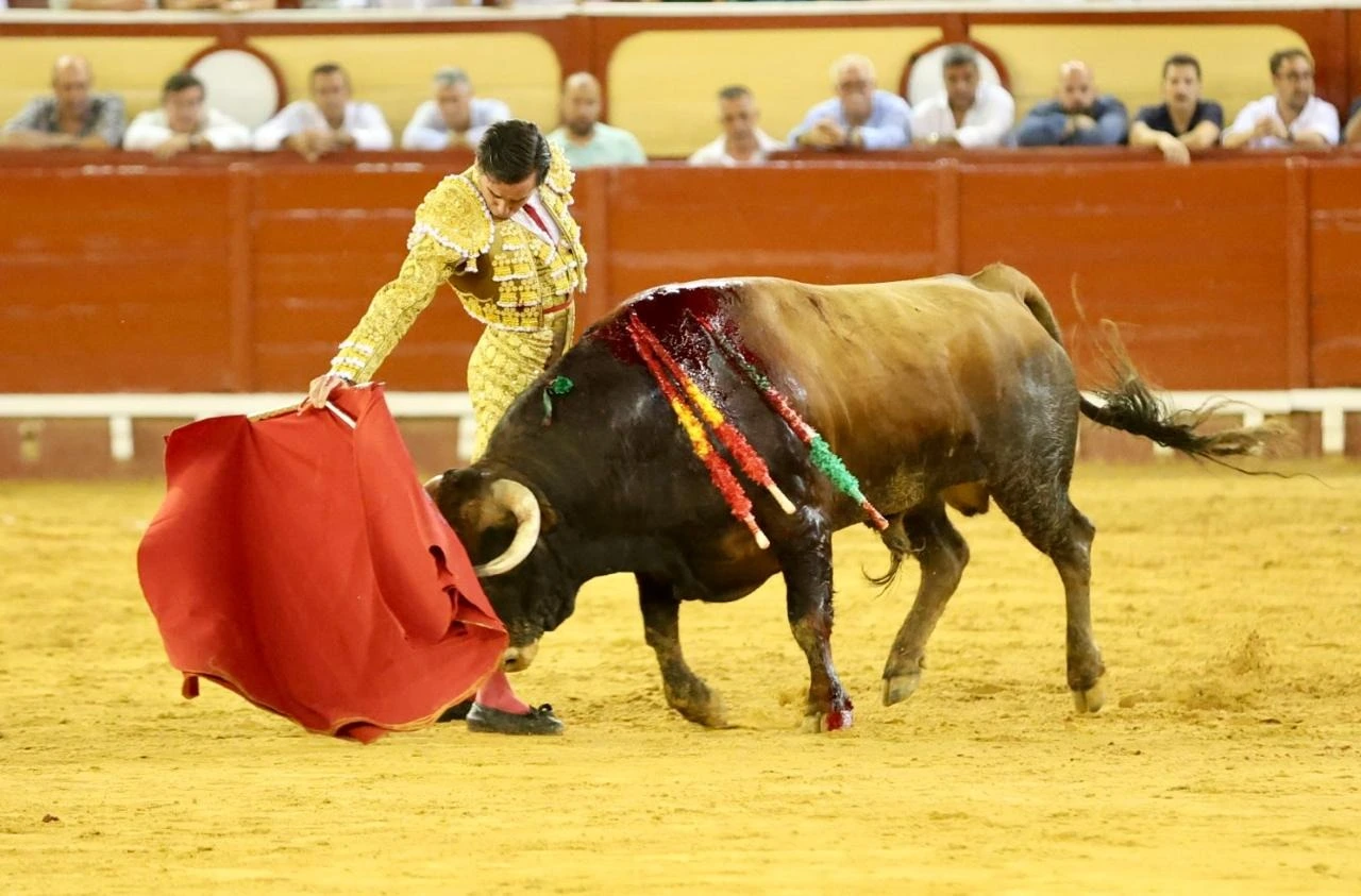 Imagen 33