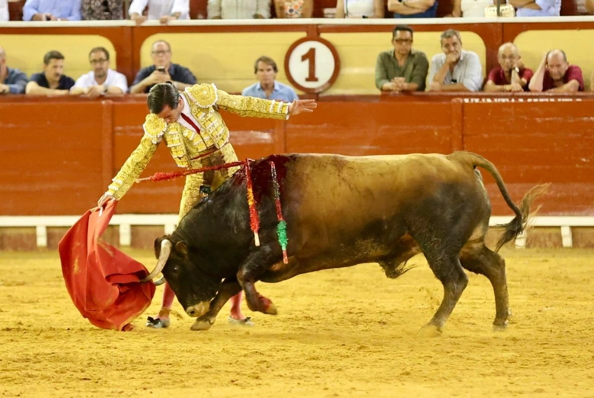 Imagen 35