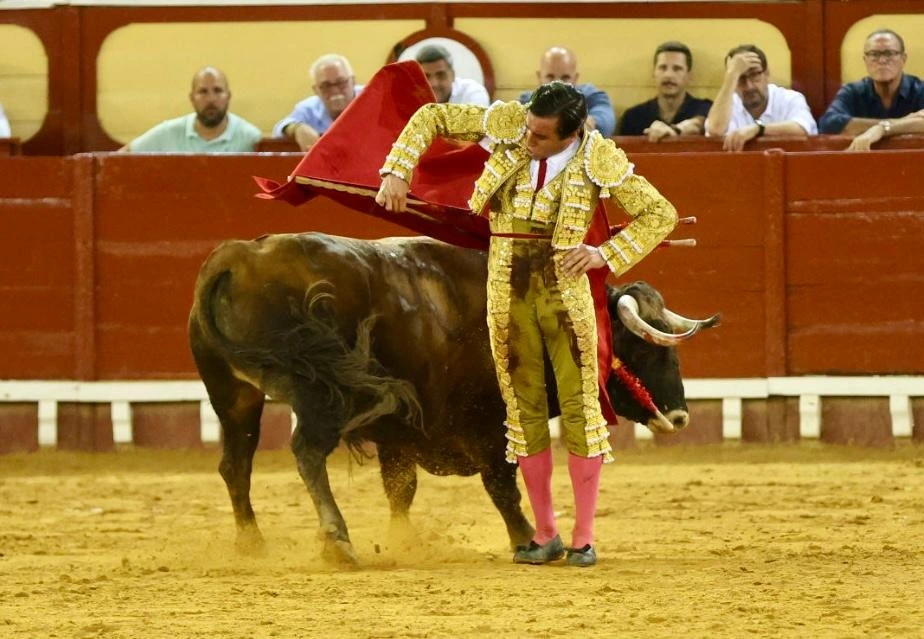 Imagen 36