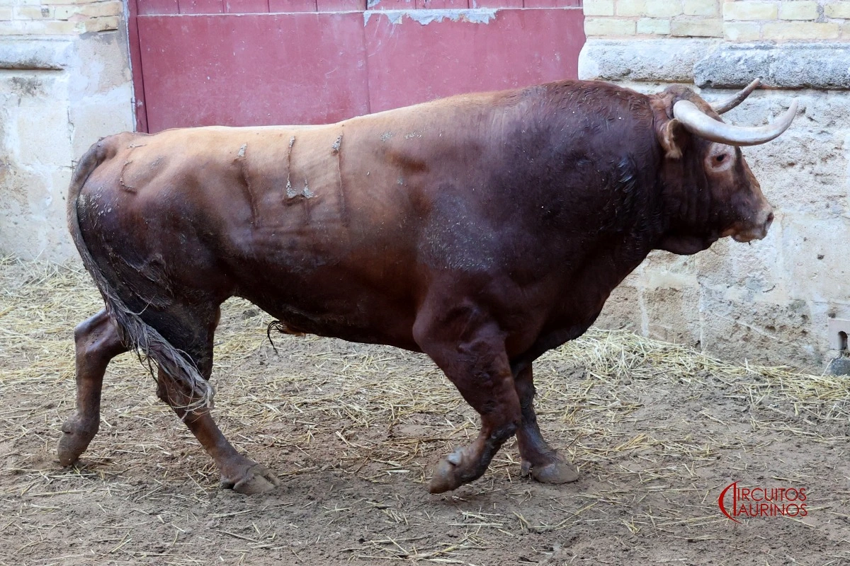 Imagen 6