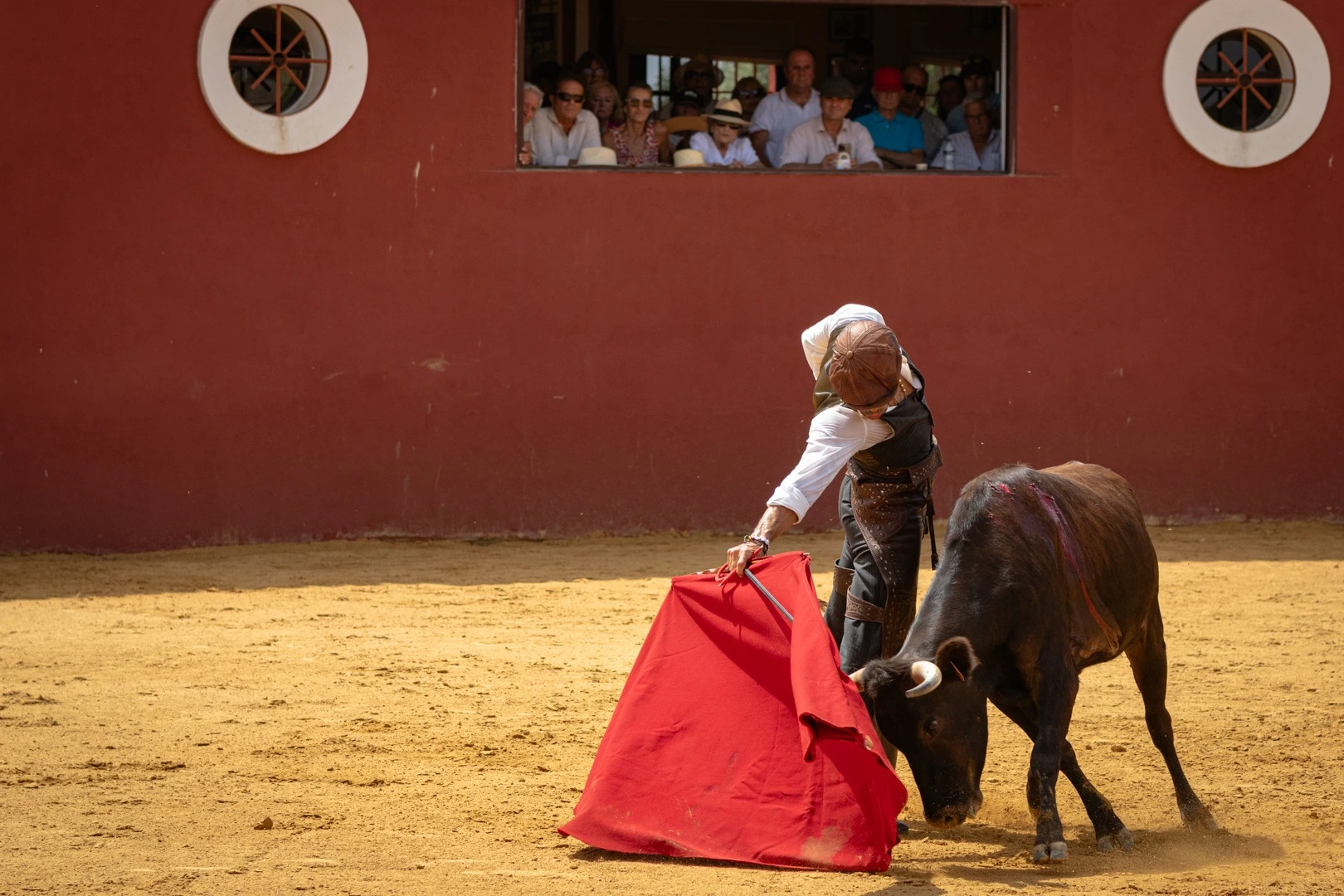 Imagen 9