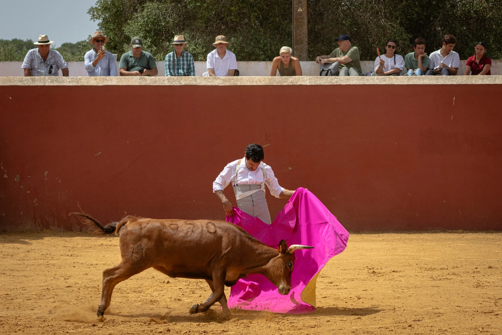 Imagen 10