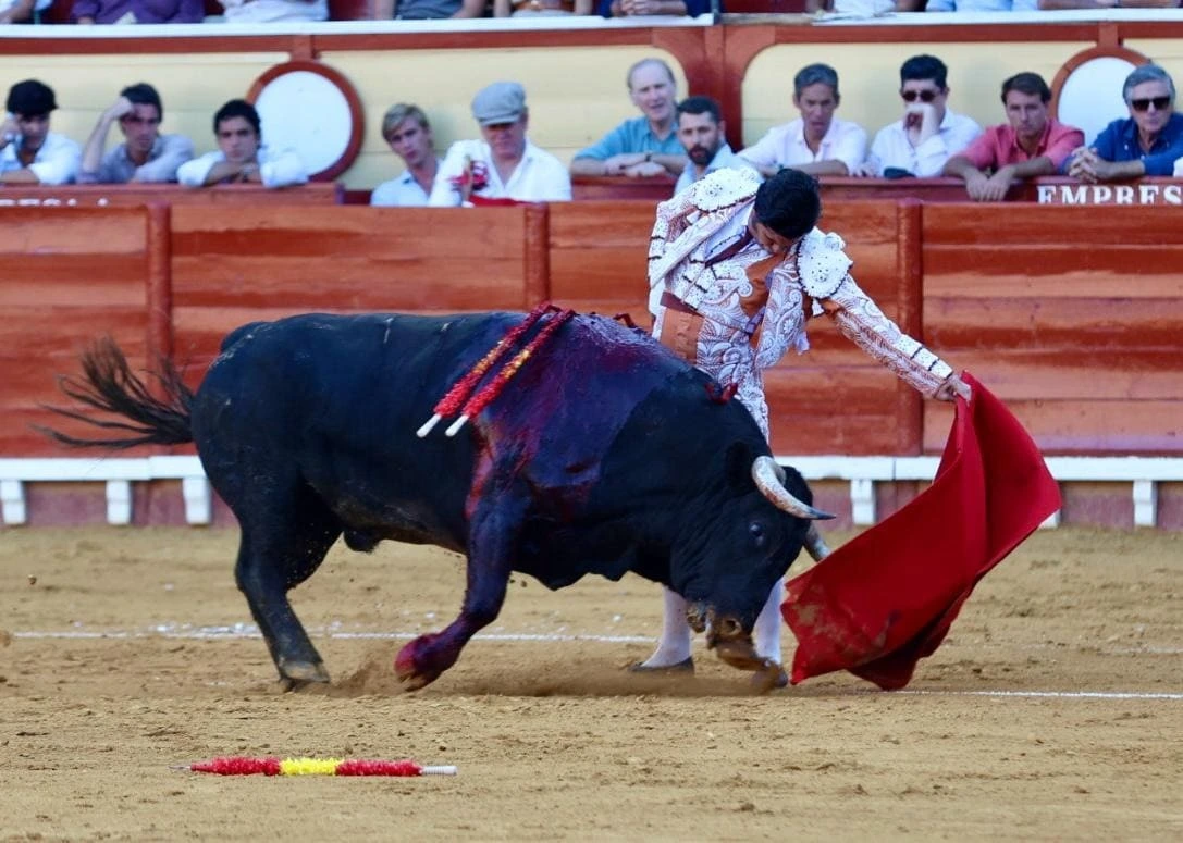 Imagen 4