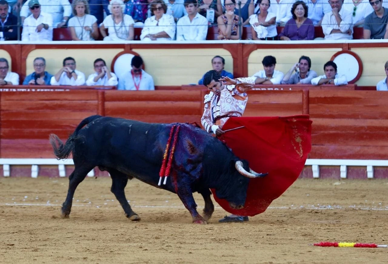 Imagen 5