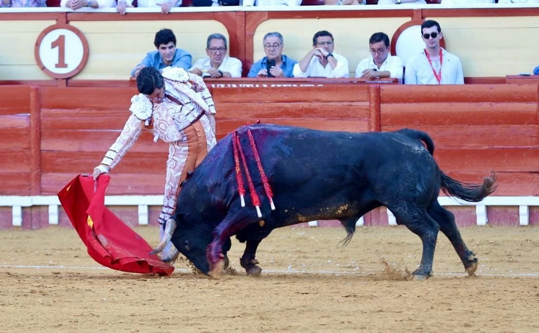 Imagen 6