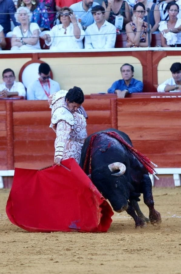 Imagen 7