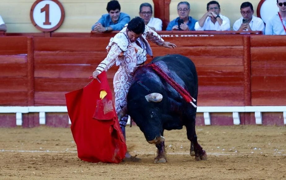 Imagen 9