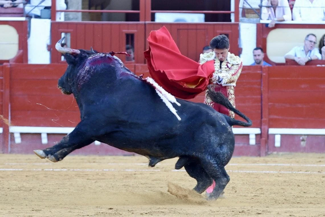 Imagen 11