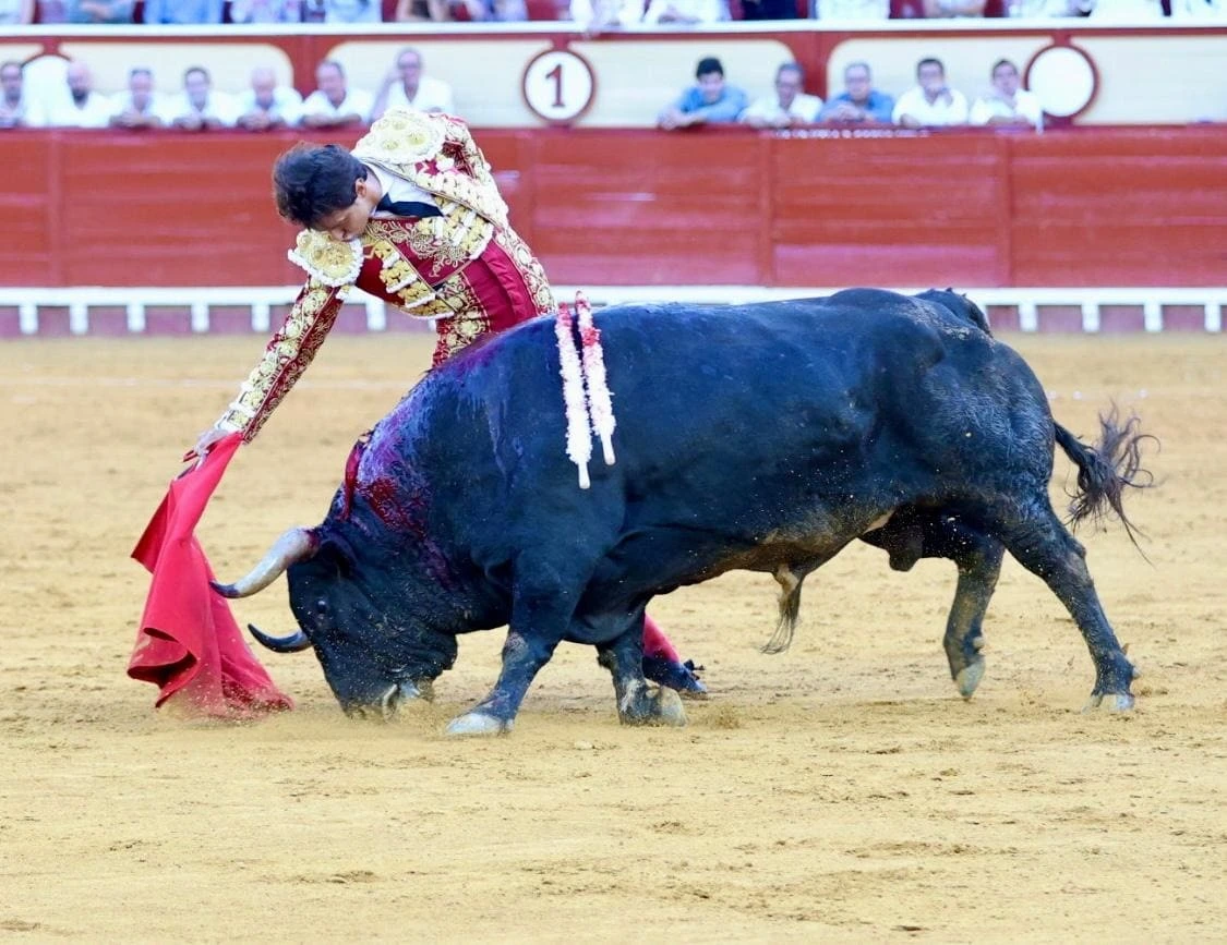 Imagen 13