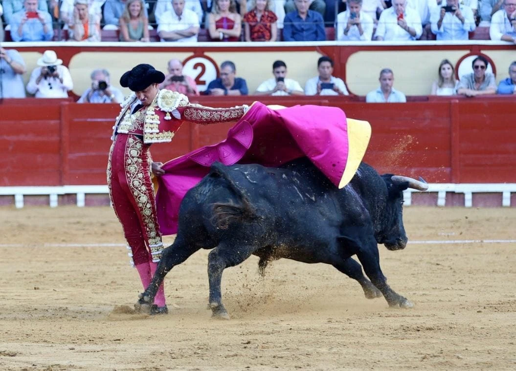 Imagen 14
