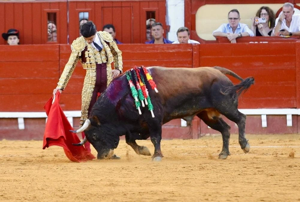 Imagen 17