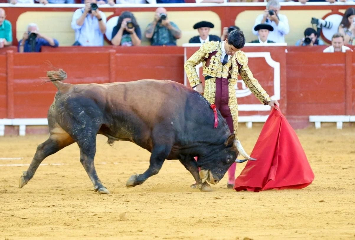 Imagen 18