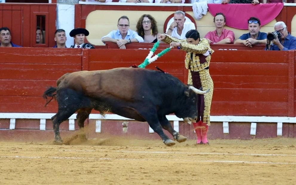 Imagen 21