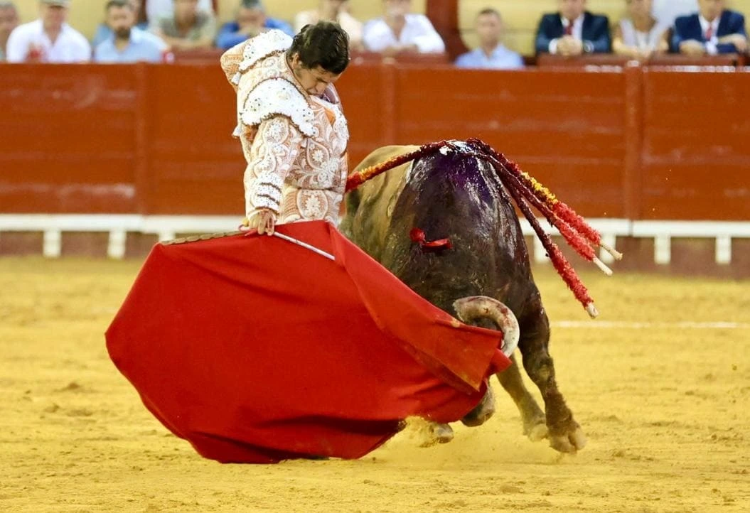 Imagen 24