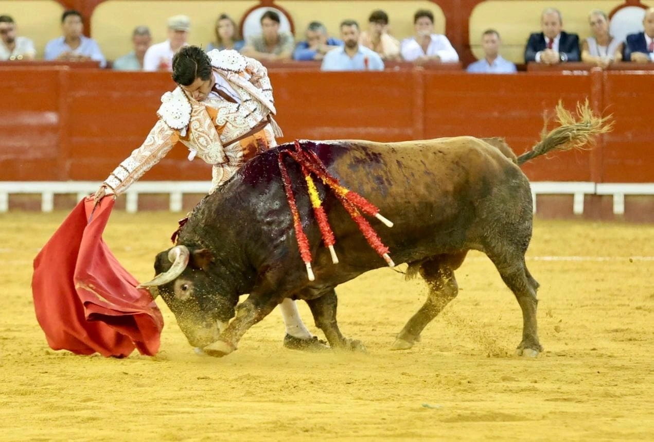 Imagen 25