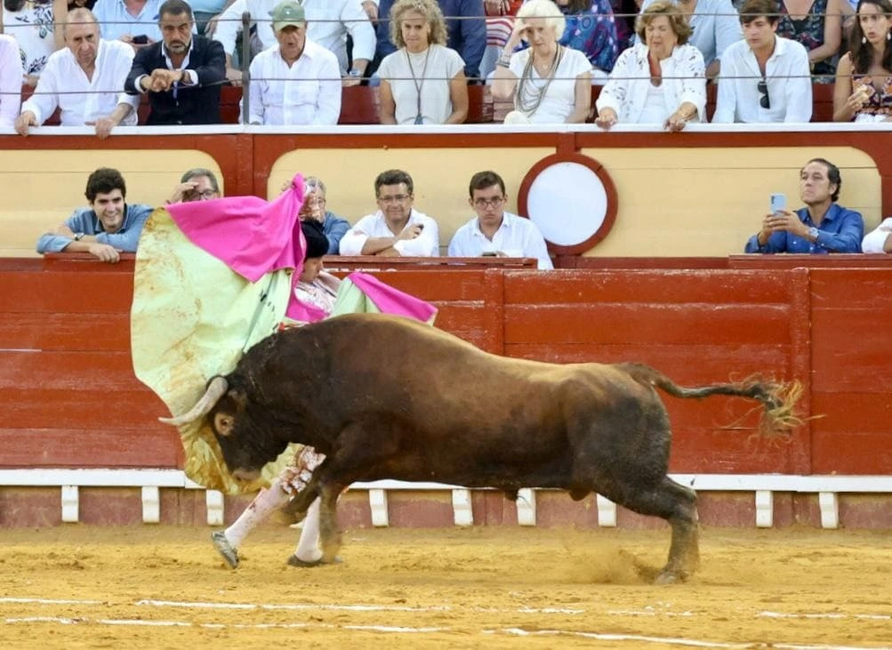 Imagen 26