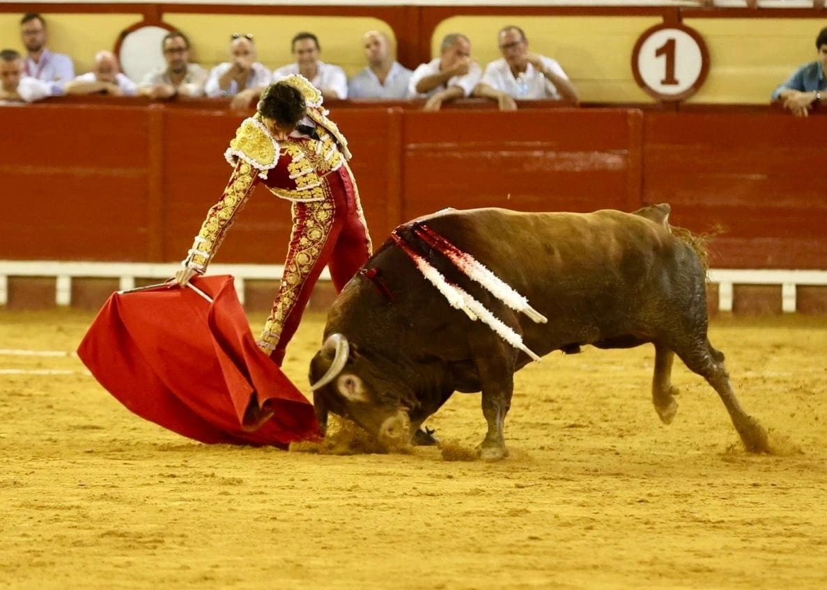 Imagen 29