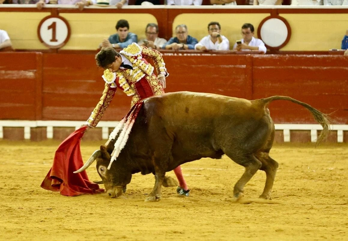 Imagen 30