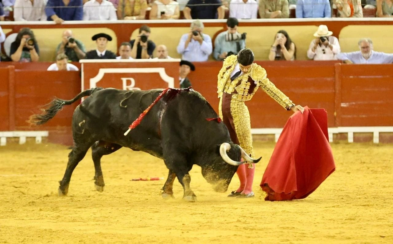 Imagen 34