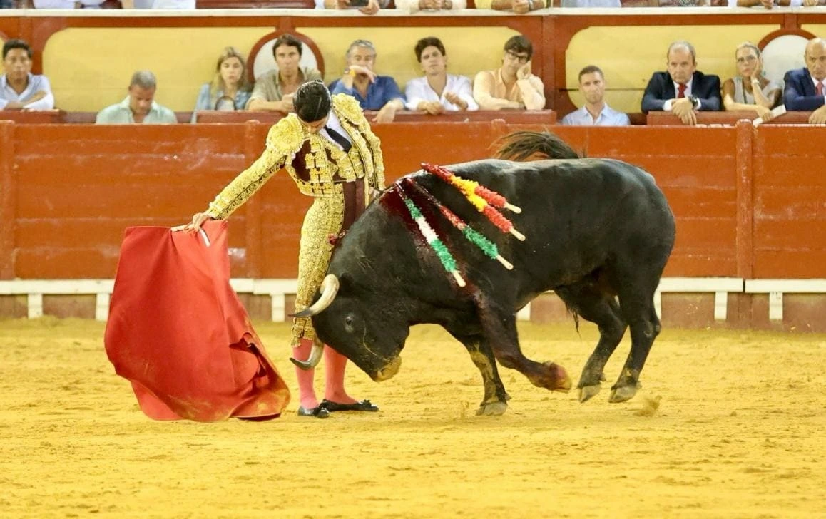 Imagen 35