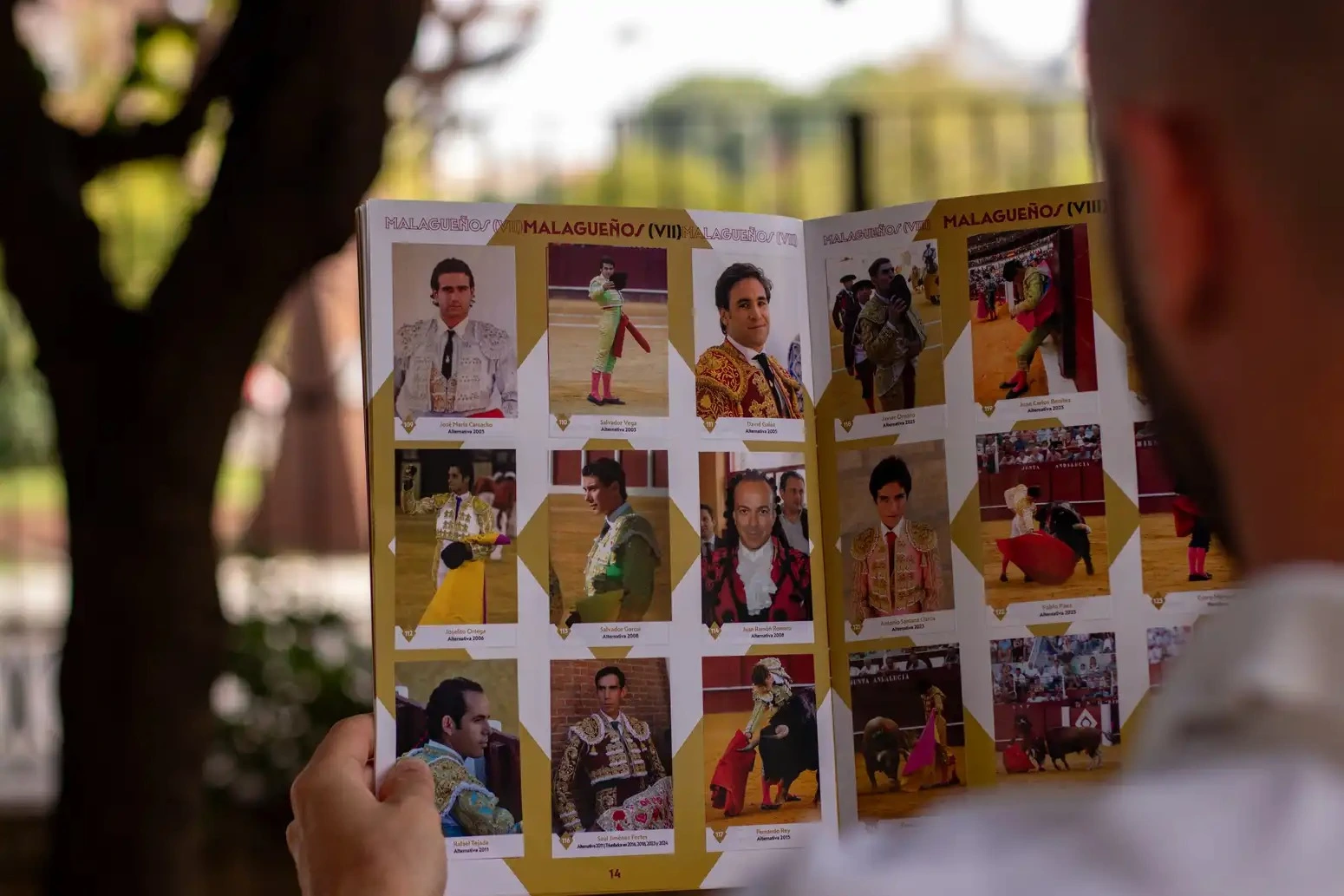 Imagen 7