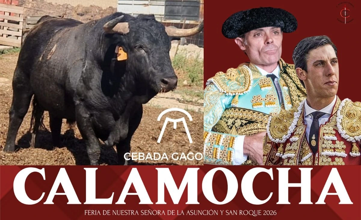 Imagen 2