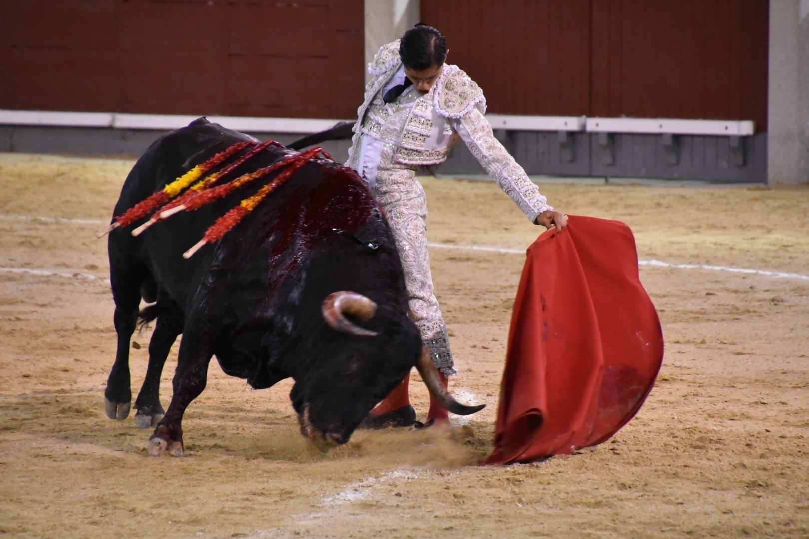 Imagen 1