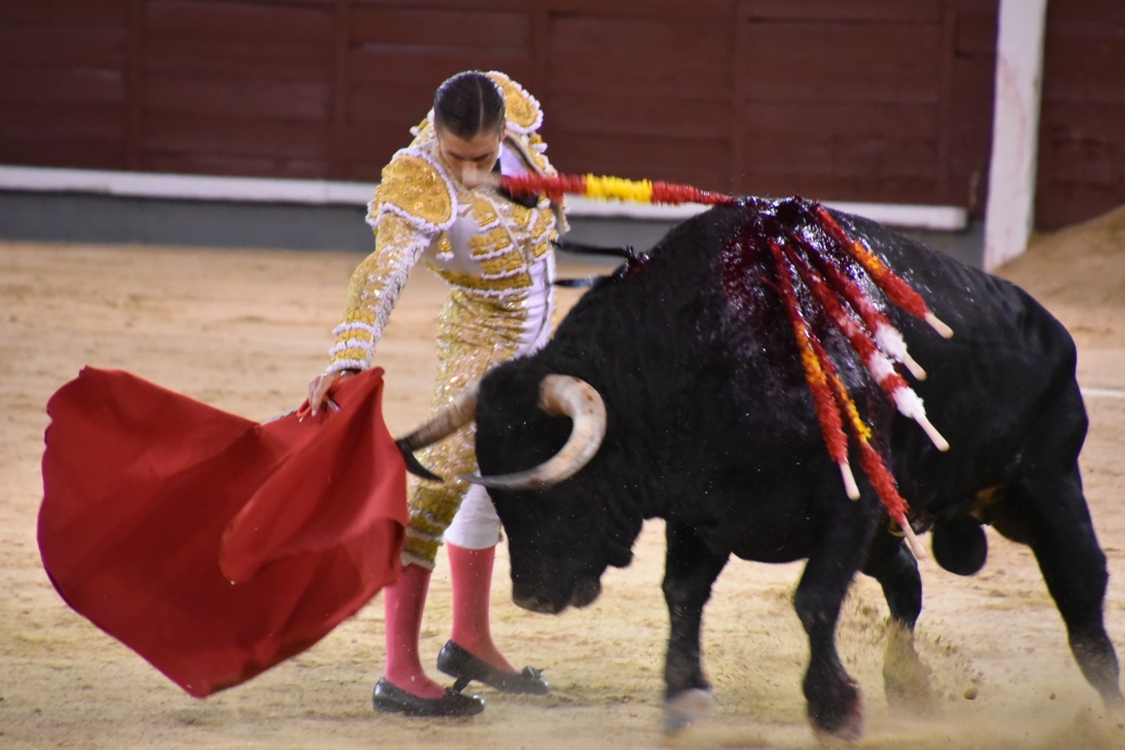 Imagen 2