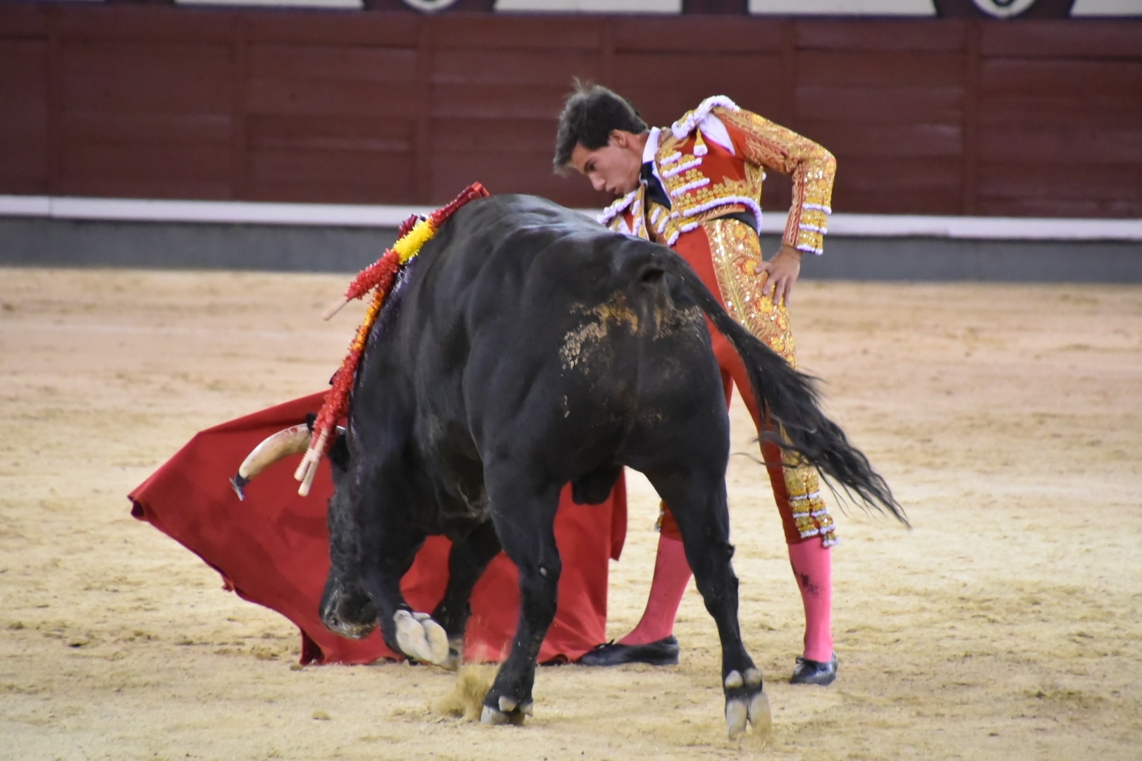Imagen 3