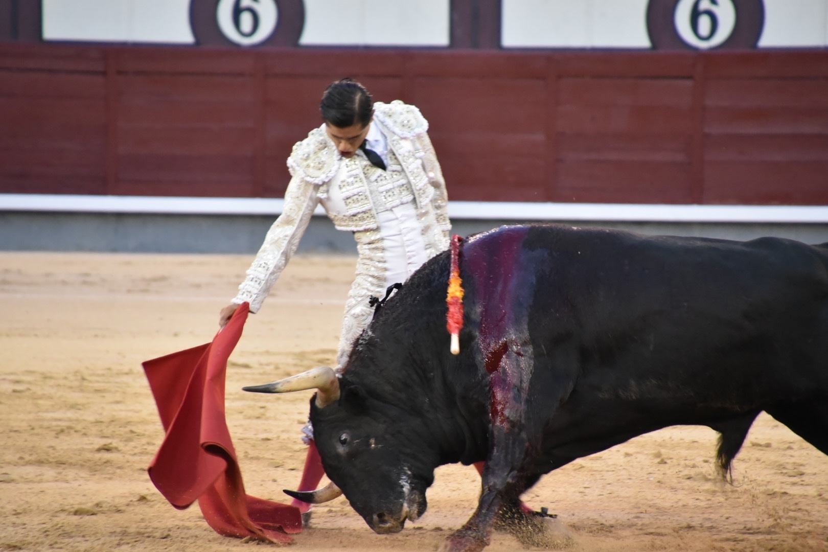 Imagen 4