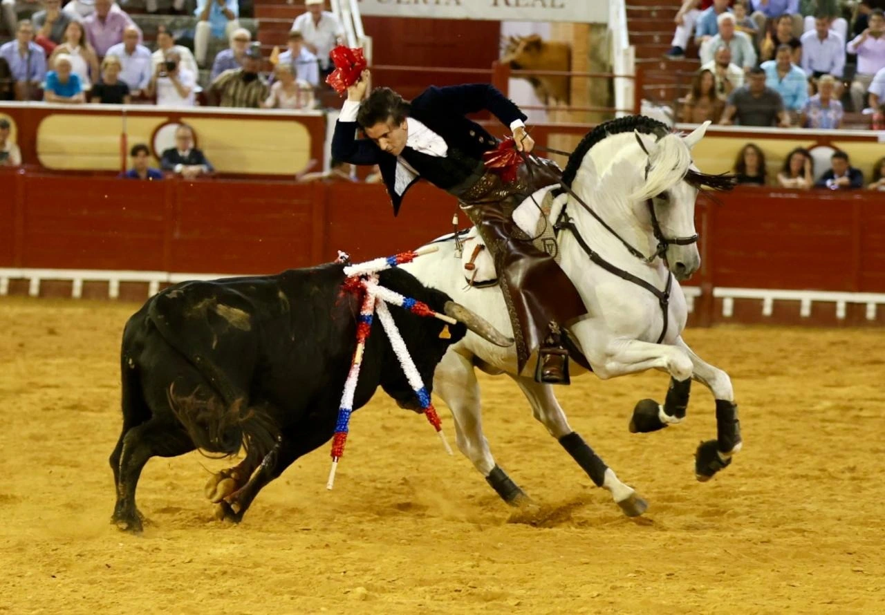Imagen 6