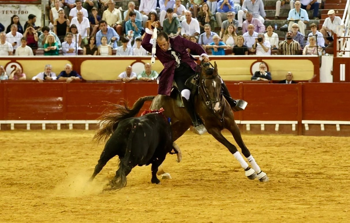 Imagen 9