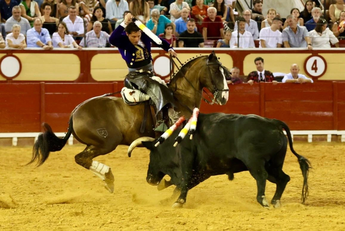 Imagen 12