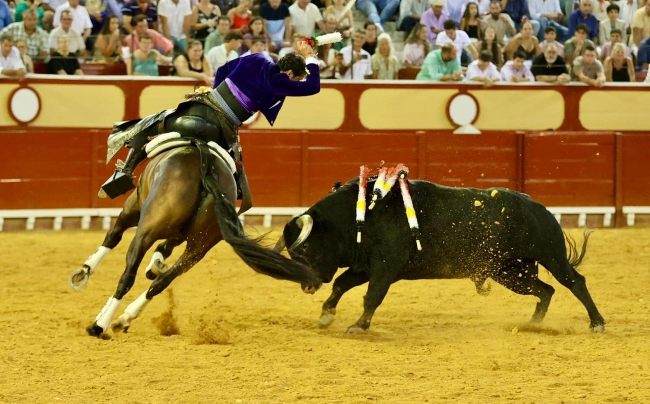 Imagen 14