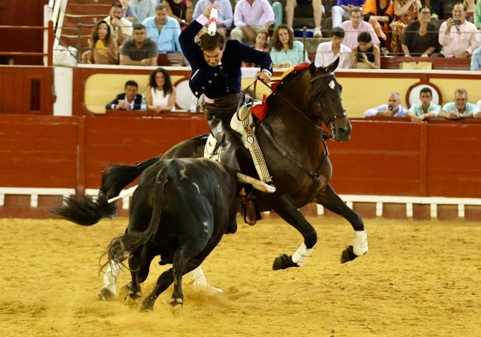 Imagen 15