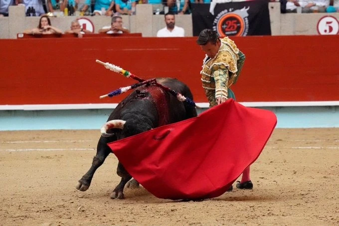 Imagen 1