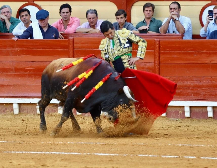 Imagen 2