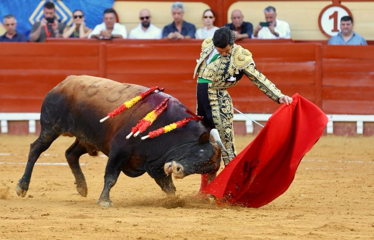 Imagen 3