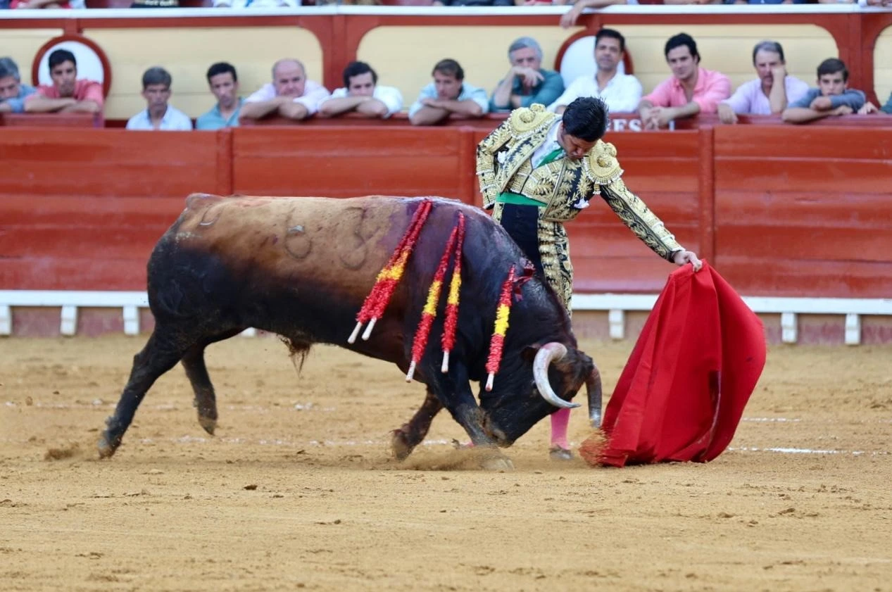 Imagen 5